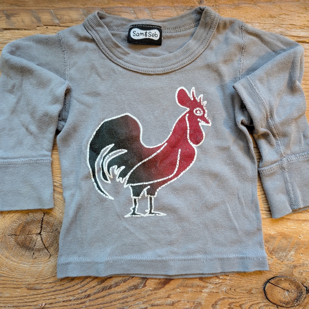 Gray Kids Shirt with Rooster Design